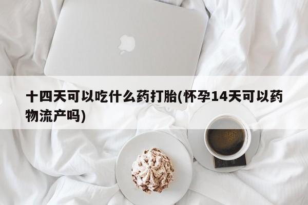 打胎药/堕胎药专卖微信十四天可以吃什么药打胎(怀孕14天可以药物流产吗)